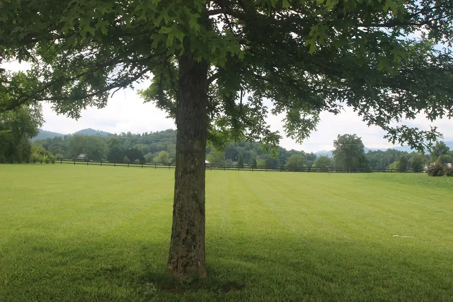 Lot 18 Bell Creek Cove Road, Hiawassee, GA 30546 - Image #3