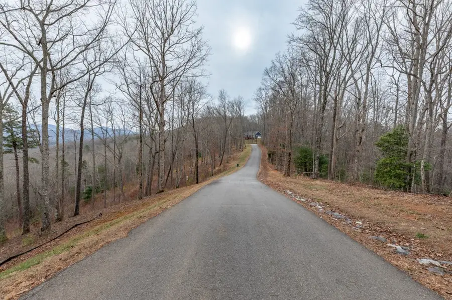 Lot 133 Blackburn Way, Blairsville, GA 30512 - #3