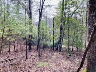 12.8 ac Fisher Field Road, Blairsville, GA 30512