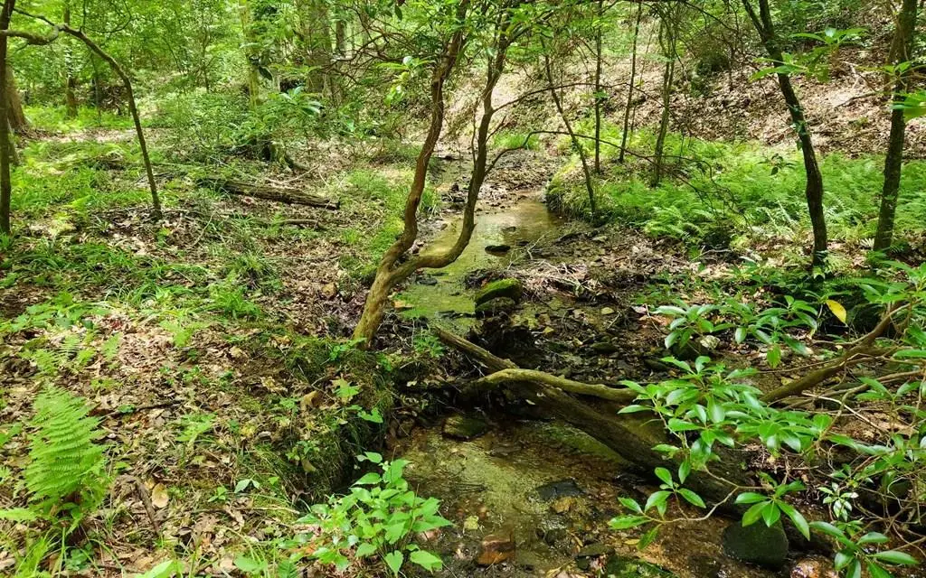 Lot 3 Autumn Lane, Blairsville, GA 30512 - Image #1