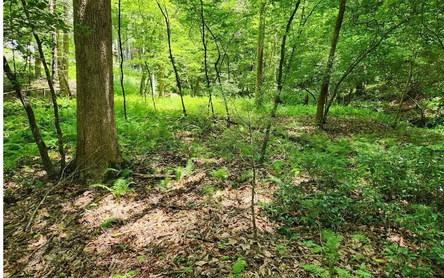 Lot 3 Autumn Lane, Blairsville, GA 30512 - Image #2