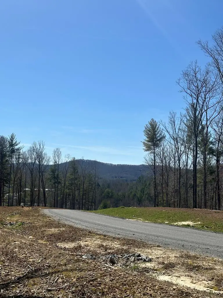 Lot 188 The Ridges, Morganton, GA 30560 - #2