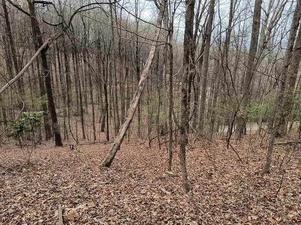 M99 Sleepy Hollow Road #M99, Ellijay, GA 30536