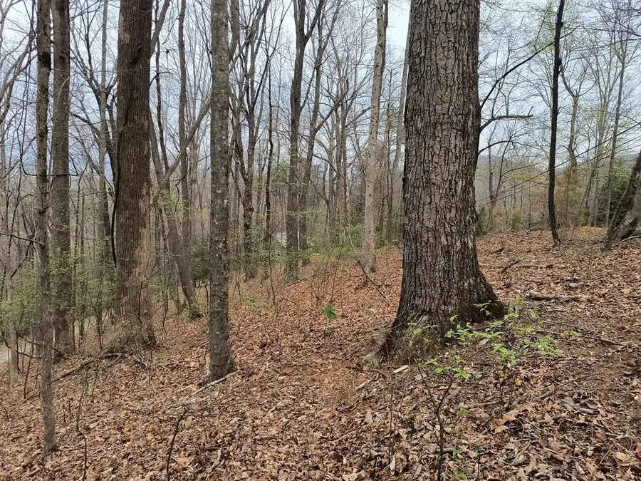 M99 Sleepy Hollow Road, Ellijay, GA 30536 - #2