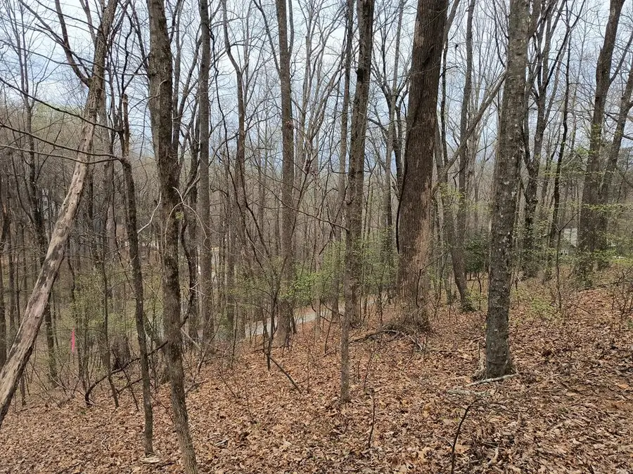 M99 Sleepy Hollow Road, Ellijay, GA 30536 - #3