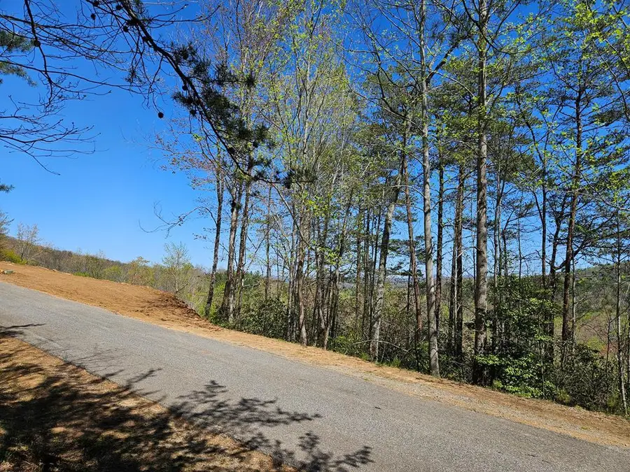 5.2 Deer Crest Road, Blue Ridge, GA 30513 - Image #3