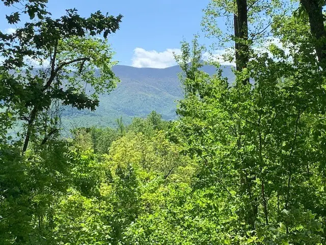 Lot 4 Morgan Ridge Drive, Young Harris, GA 30582 - Image #3