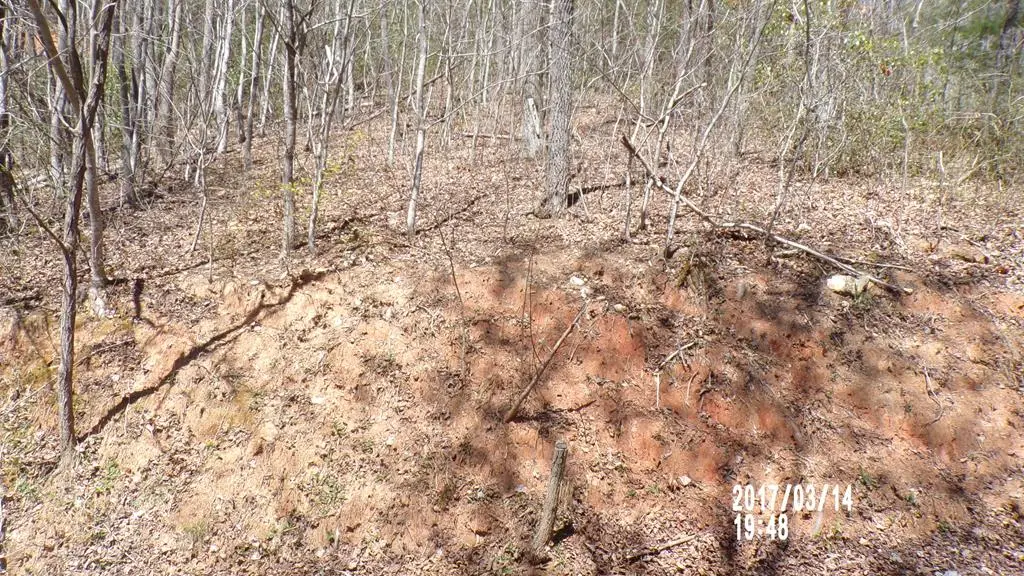 #3 Strawberry Fields, Hayesville, NC 28904 - Image #1