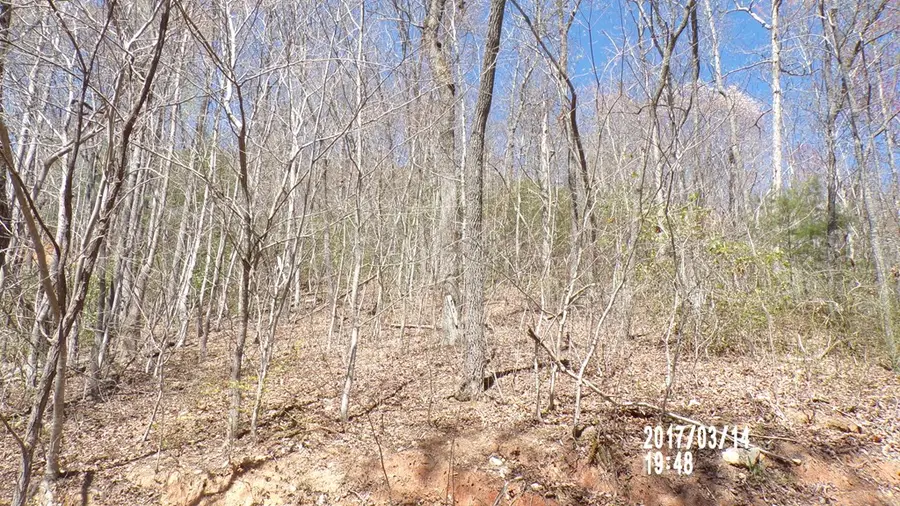 #3 Strawberry Fields, Hayesville, NC 28904 - Image #2