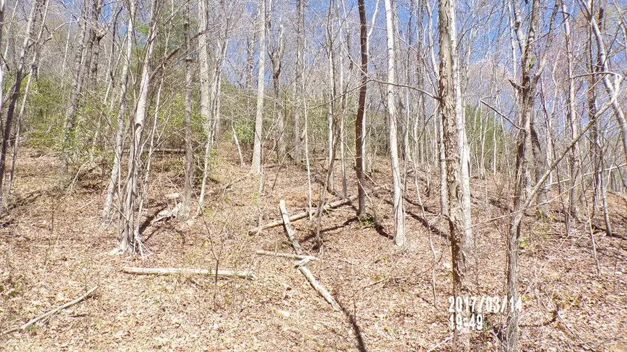 #3 Strawberry Fields, Hayesville, NC 28904 - Image #3