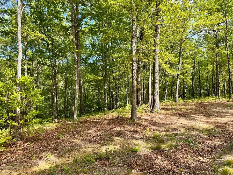 Lot 9 Settawig Overlook, Hayesville, NC 28904 - #3