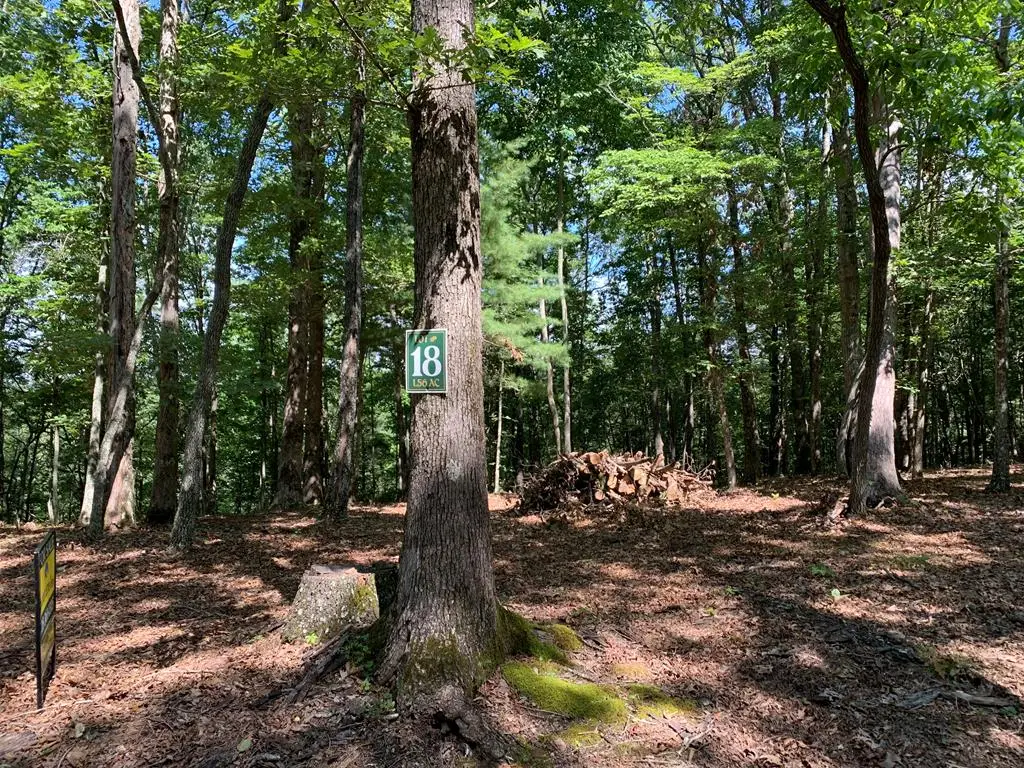 Lot 16 Settawig Overlook, Hayesville, NC 28904 - #1