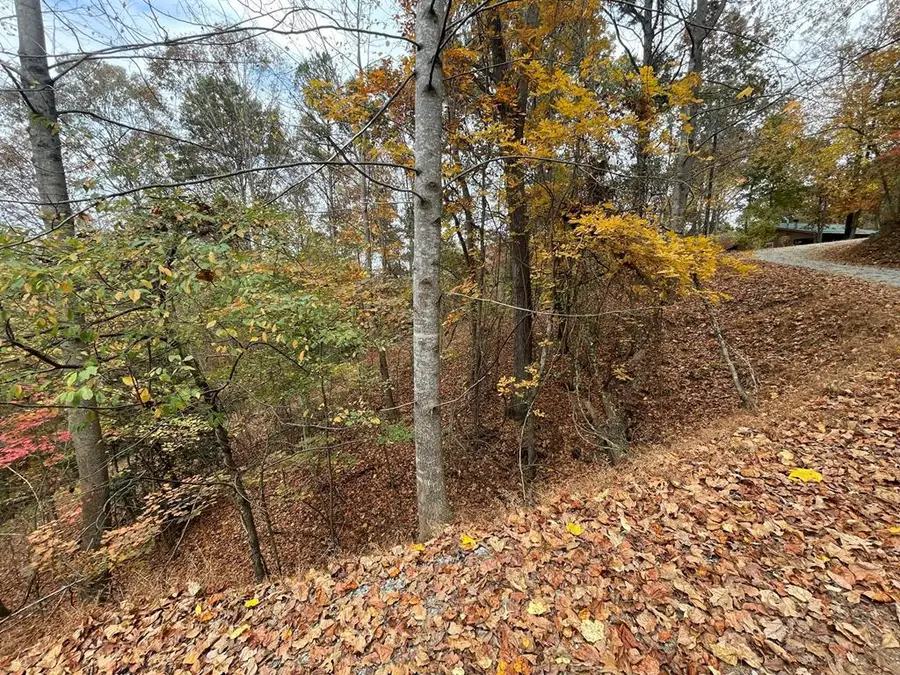 Lot 468 Cherokee Court, Ellijay, GA 30540 - Image #3