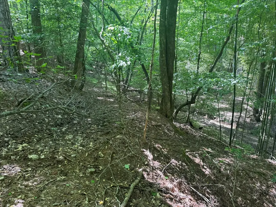 Lot 1721 Newport Drive, Ellijay, GA 30540 - Image #2