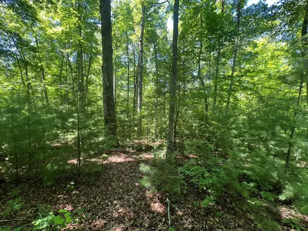 0 Paw Paw Trail, Murphy, NC 28906