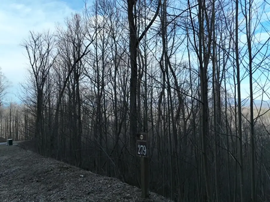 279 Andes Ridge, Ellijay, GA 30536 - Image #3