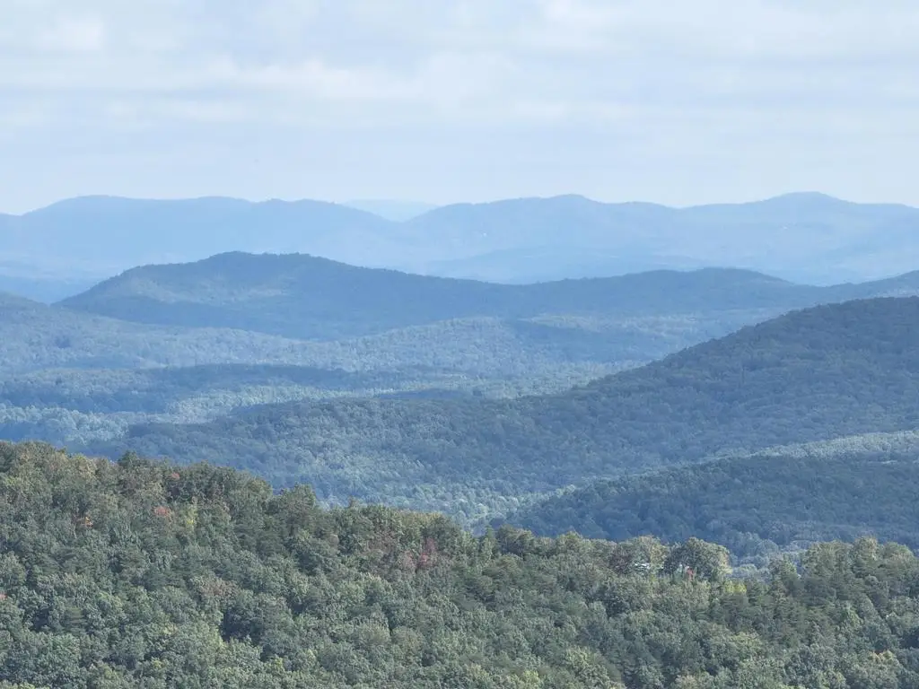 280 Andes Ridge, Ellijay, GA 30536 - #1