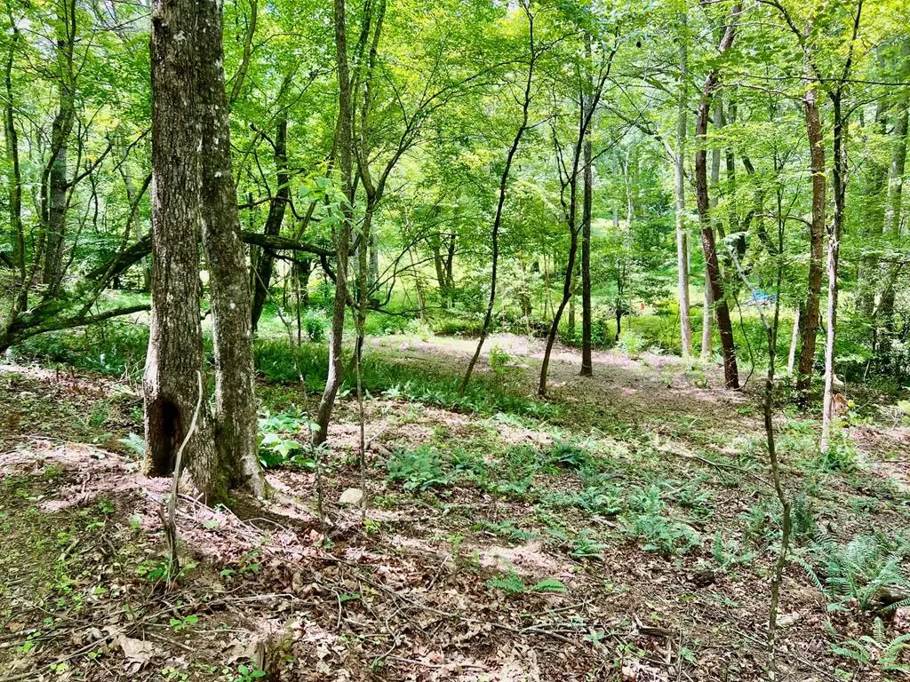 #3 Lower Fox Trail, Blairsville, GA 30512 - Image #1