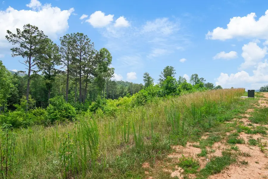 Lot 196 Oak Park Drive, Talking Rock, GA 30175 - Image #2
