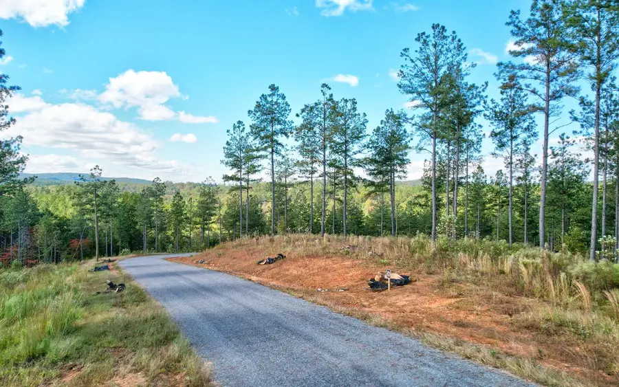 LT 62 Seven Mile Creek Road, Talking Rock, GA 30175 - Image #3