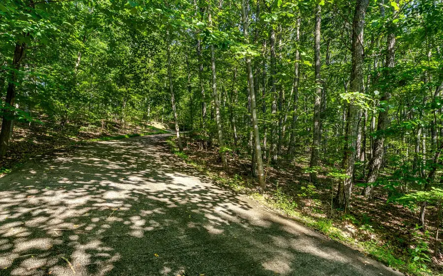 L11 Mattie Lane, Blairsville, GA 30512 - Image #3