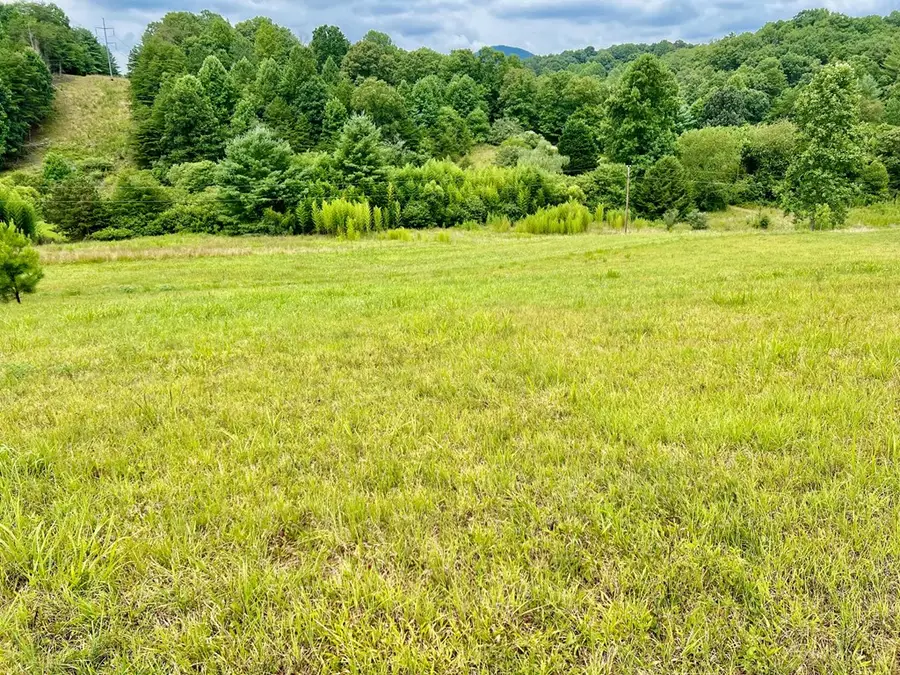 48 Madeline Way, Blairsville, GA 30512 - Image #3