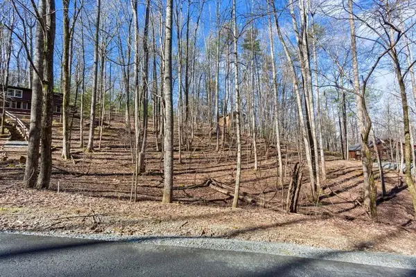 0 Sleepy Hollow Road #M-54, Ellijay, GA 30536