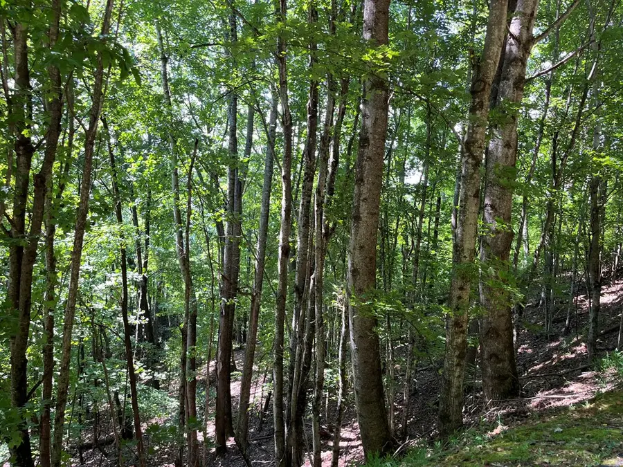 #3