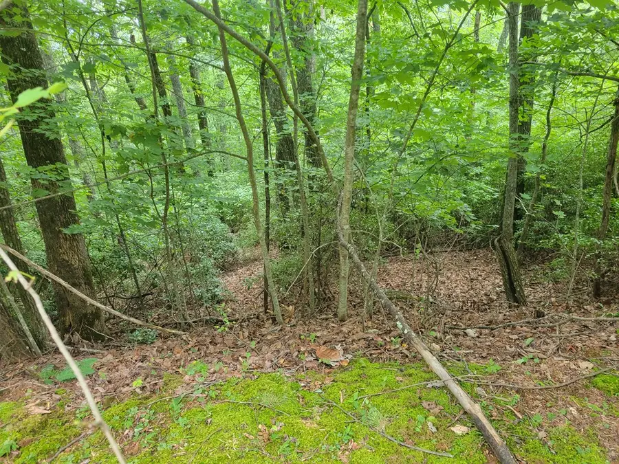 #2