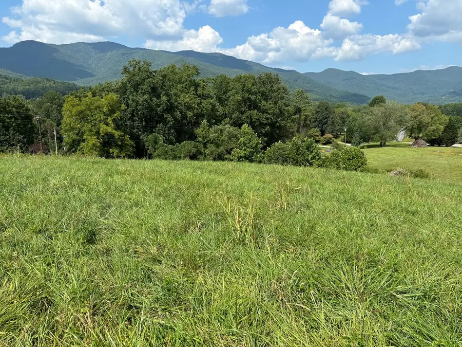 9.12-AC Mission Hill Road, Hayesville, NC 28904 - #3