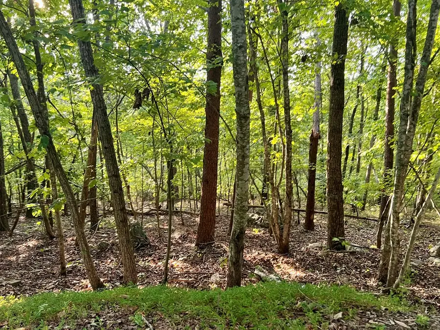 #3