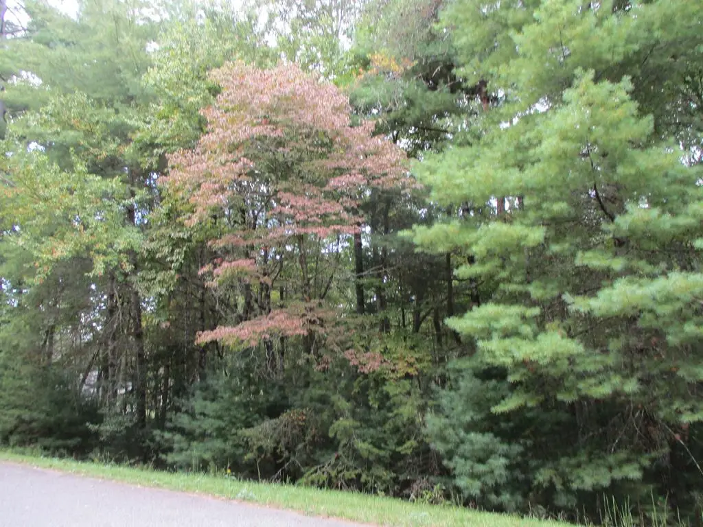 Lot 25 Byers Road, Blairsville, GA 30512 - Image #1
