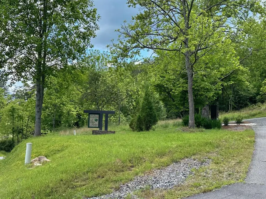 LT12 The Laurels Of Br, Mineral Bluff, GA 30559 - #2