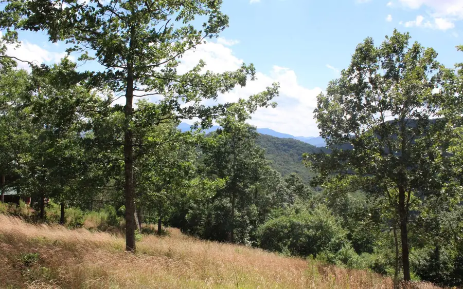 131 Shiloh Ridge, Hayesville, NC 28904 - #2