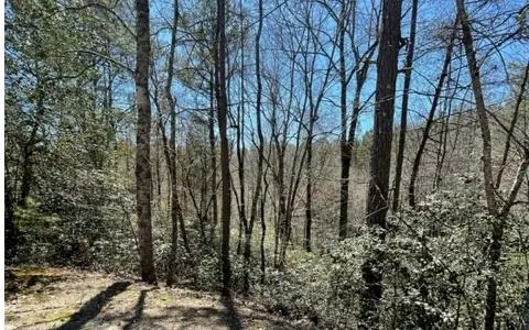 Lot 6 Willow Ridge, Warne, NC 28909 - Image #2