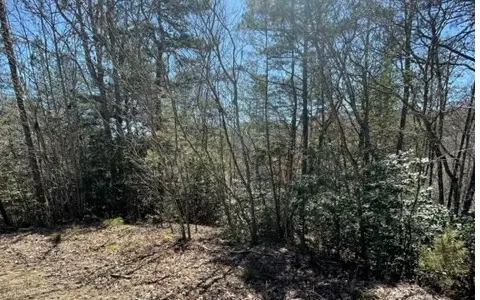Lot 6 Willow Ridge, Warne, NC 28909 - Image #3