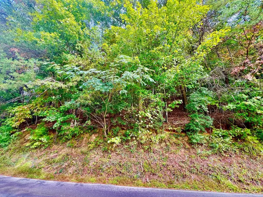 12 Cherokee Drive, Ellijay, GA 30540 - #3