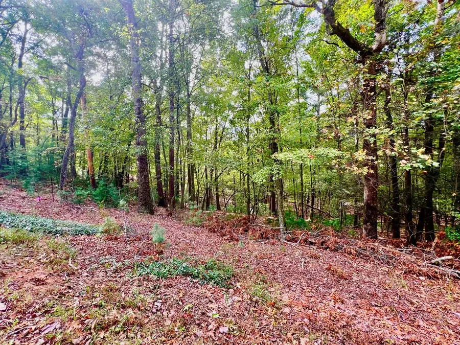 298 Etowah Drive, Ellijay, GA 30540 - #3