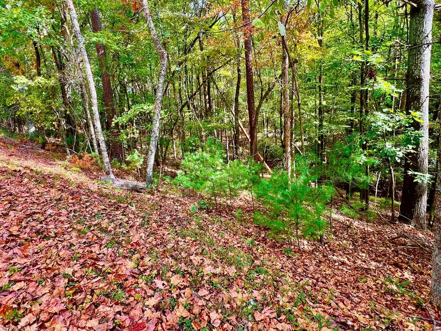 577 Tonto Drive, Ellijay, GA 30540 - #3