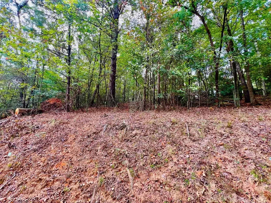 573 Cataula Court, Ellijay, GA 30540 - #3