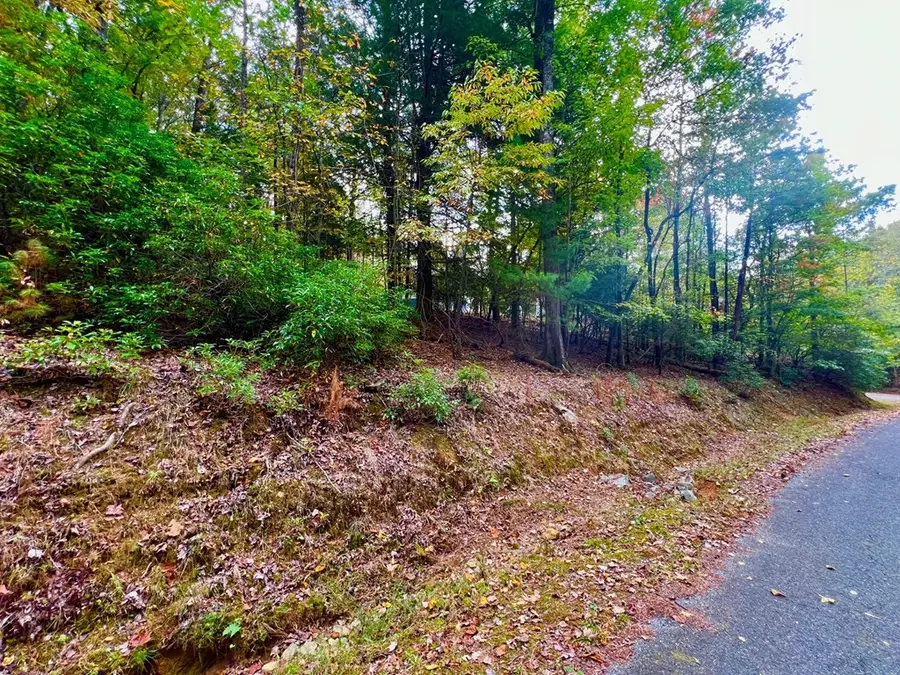 548 North Satsuma Court, Ellijay, GA 30540 - #3