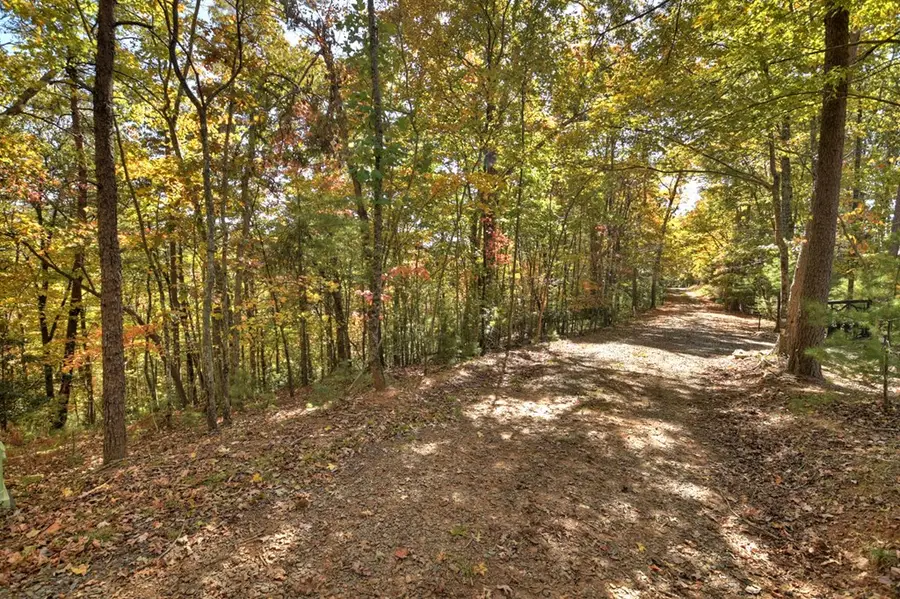 Lot 53 Whitepath Circle N, Ellijay, GA 30540 - Image #3