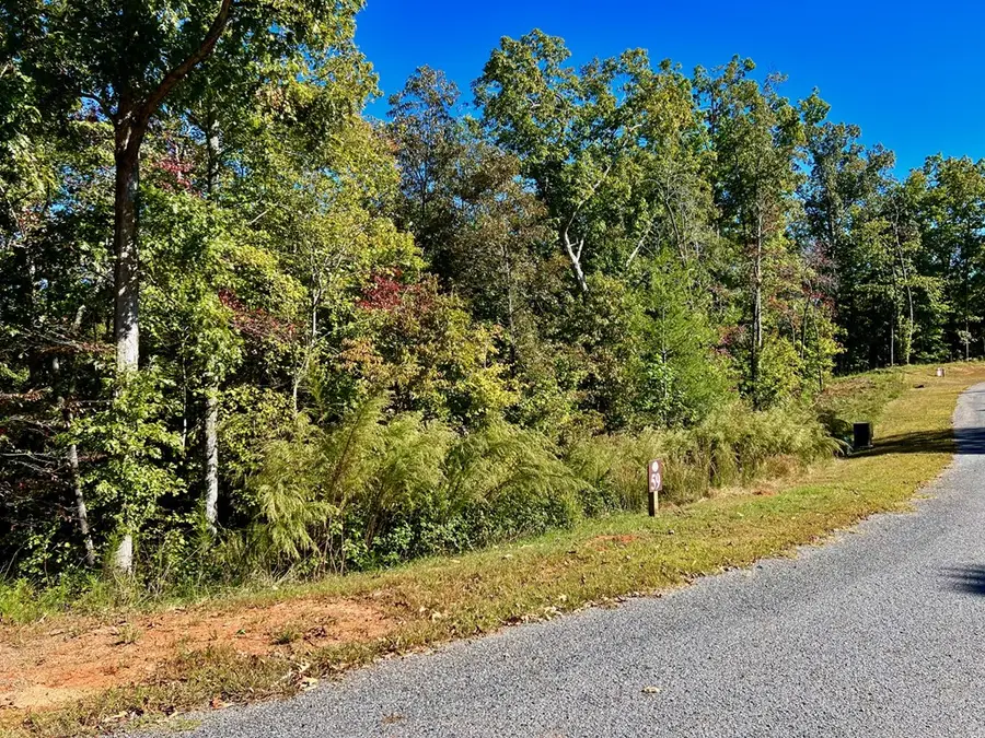 59 High River Landing, Ellijay, GA 30540 - Image #3