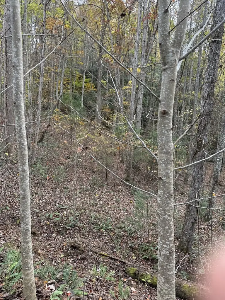 #3