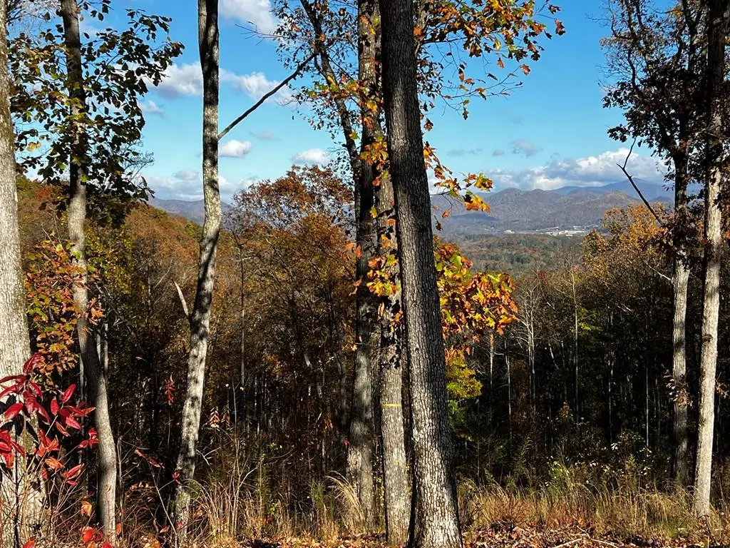 Lot 118 Winding Ridge, Blairsville, GA 30512 - Image #1