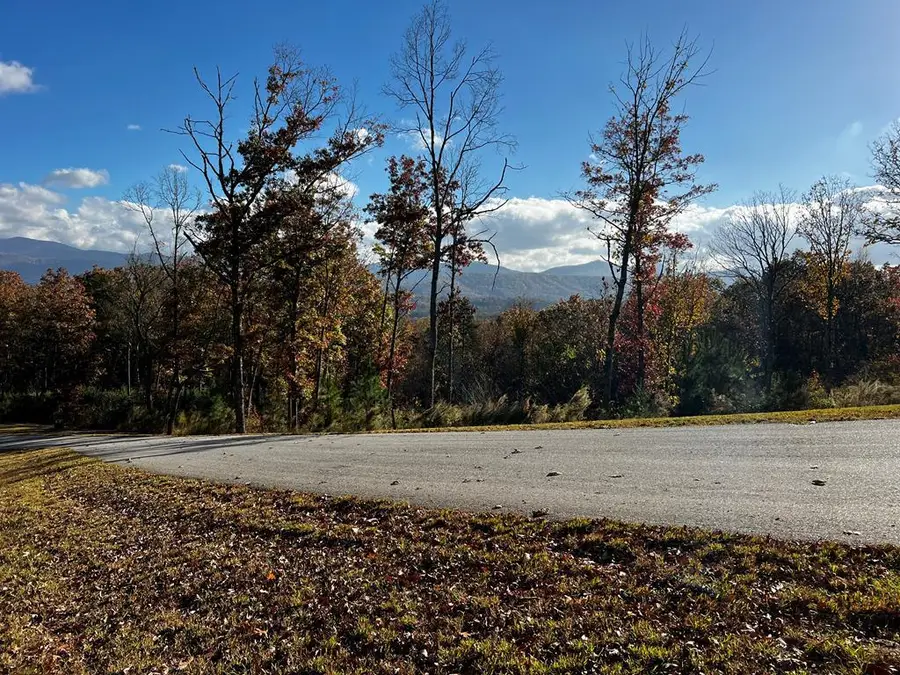 Lot 118 Winding Ridge, Blairsville, GA 30512 - Image #2