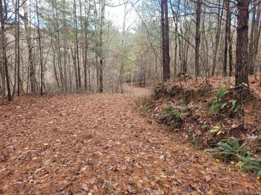 18.22 Talona Road, Ellijay, GA 30540 - Image #3