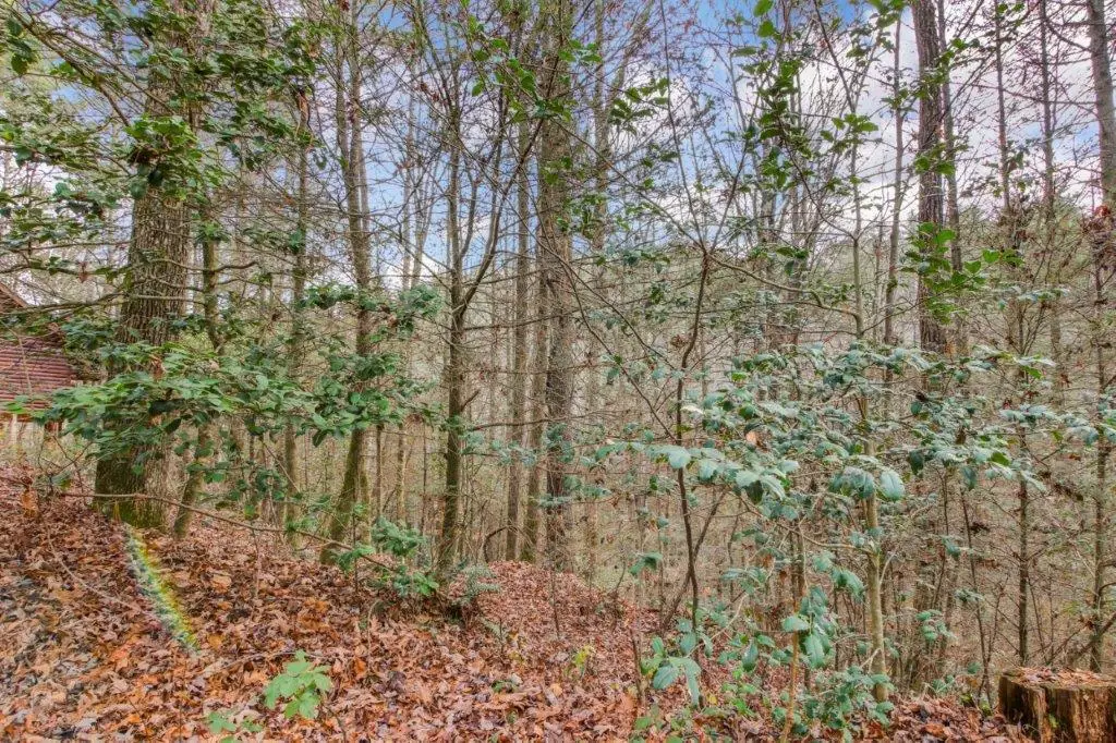 Lot 2 Laurel Overlook Road, Ellijay, GA 30540 - #1