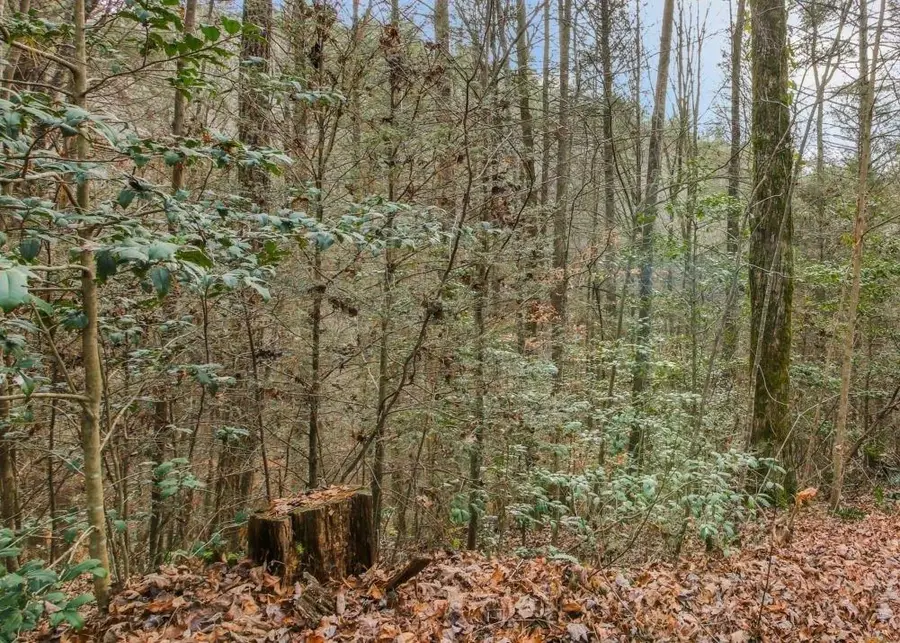 Lot 2 Laurel Overlook Road, Ellijay, GA 30540 - #2