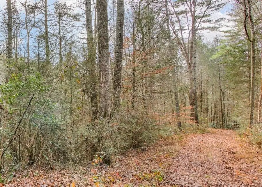 Lot 2 Laurel Overlook Road, Ellijay, GA 30540 - #3